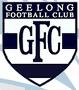 AFL 2005 Teamcoach Team Set GEELONG - Click Image to Close